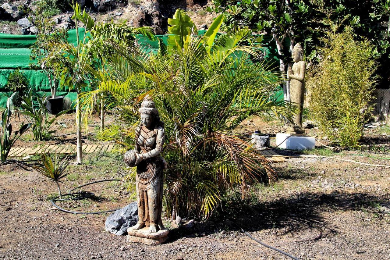 Finca Berolo 1 Guía de Isora Exterior foto